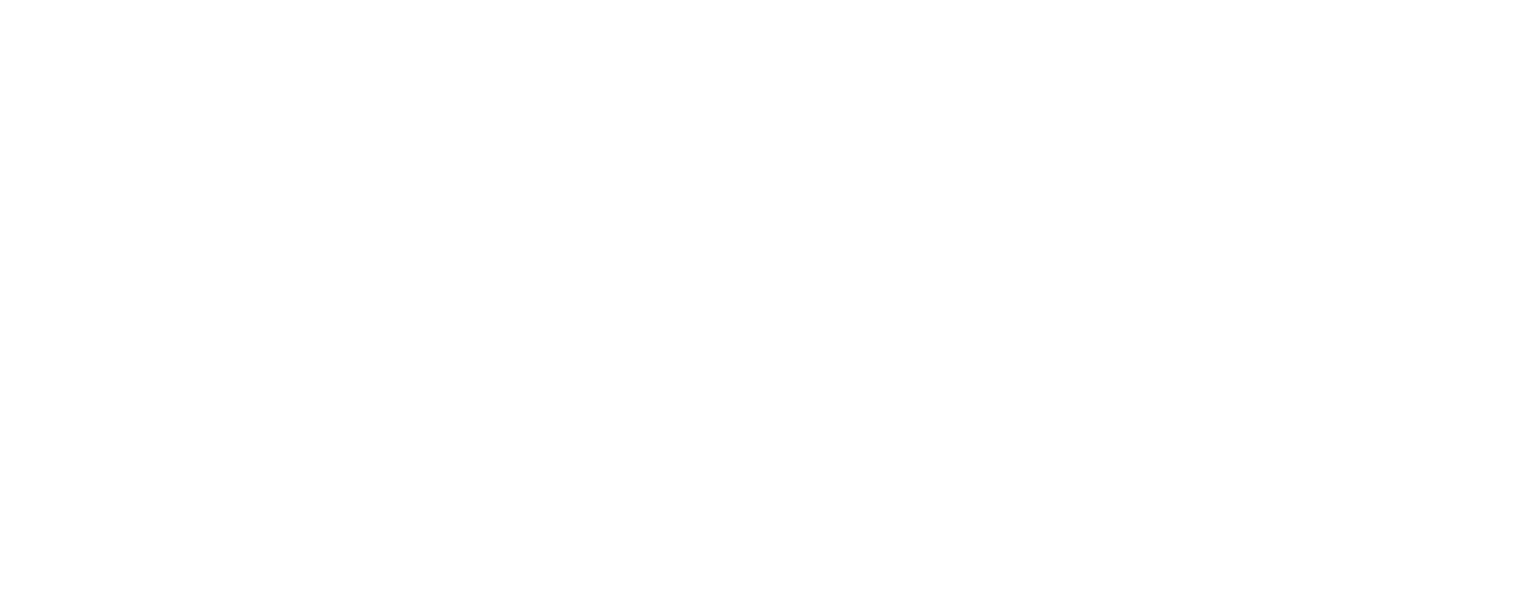 Universidad del Valle de México